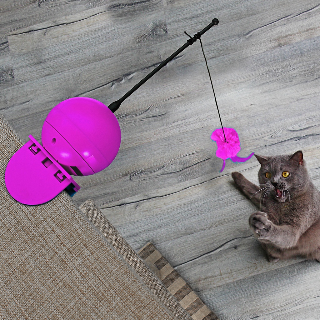 Coockoo Foxy Magic Ball
