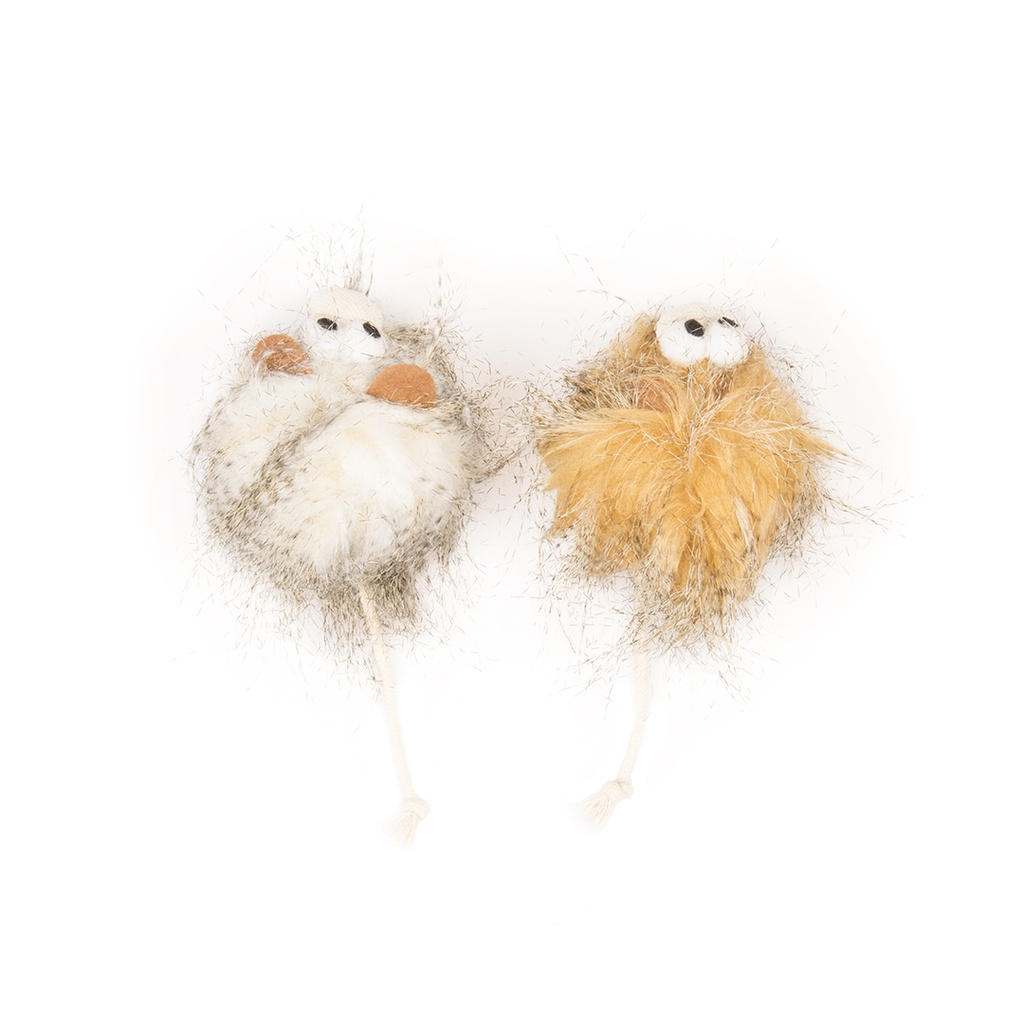 Assortiment Wooly