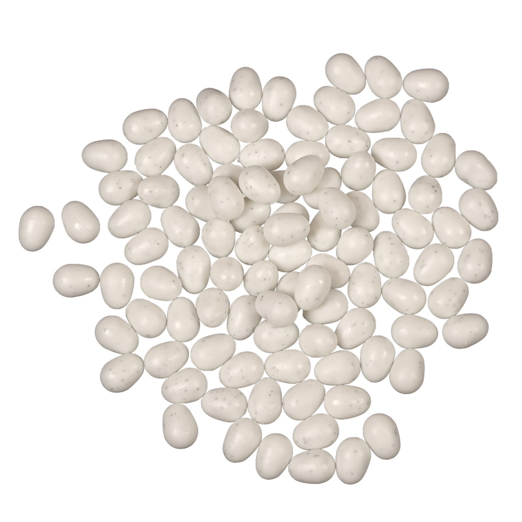 Oeuf canaris blanc et exotiques 100 pcs