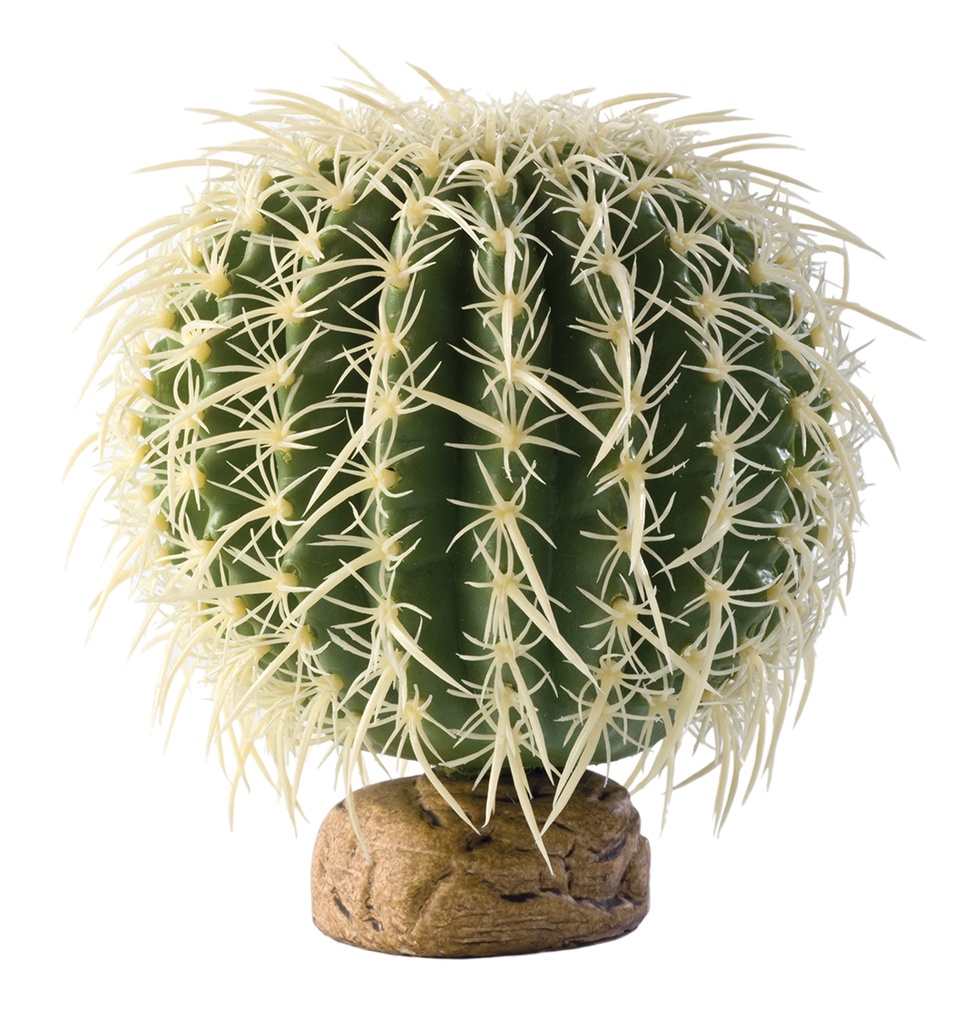 EX Cylinder cactus
