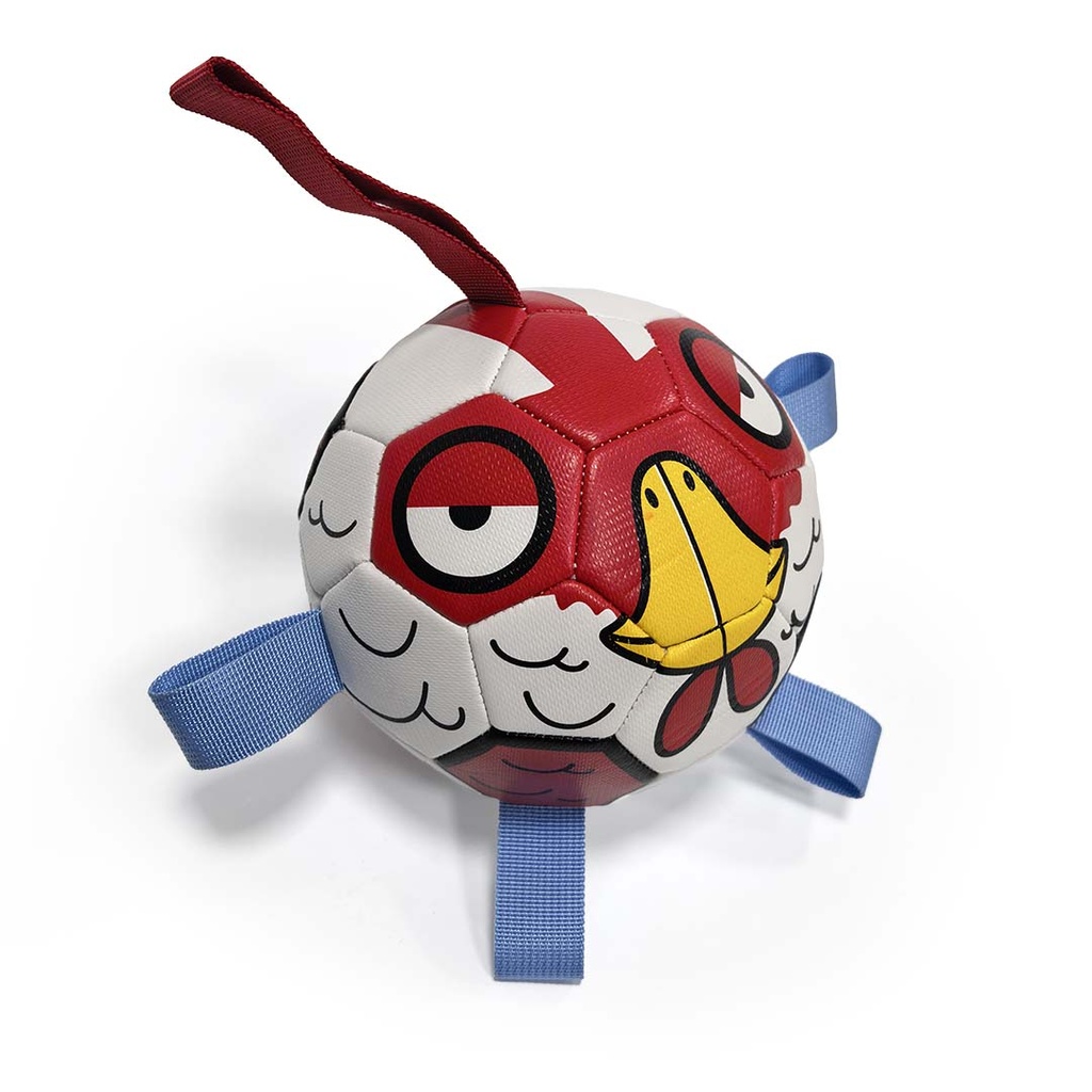 Voetbal Birdy