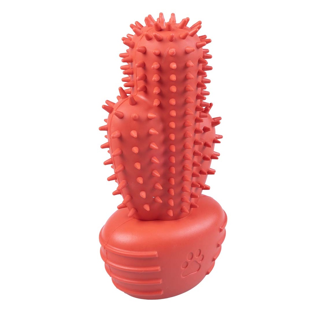 Kauwspeeltje Griplay cactus
