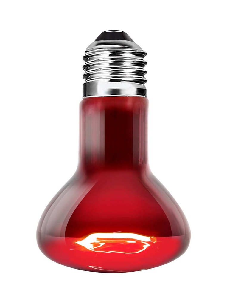 Ampoule pour lézarder infrarouge