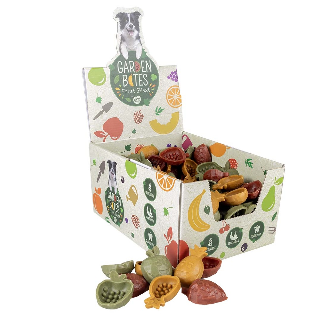 Garden Bites Fruity buddies