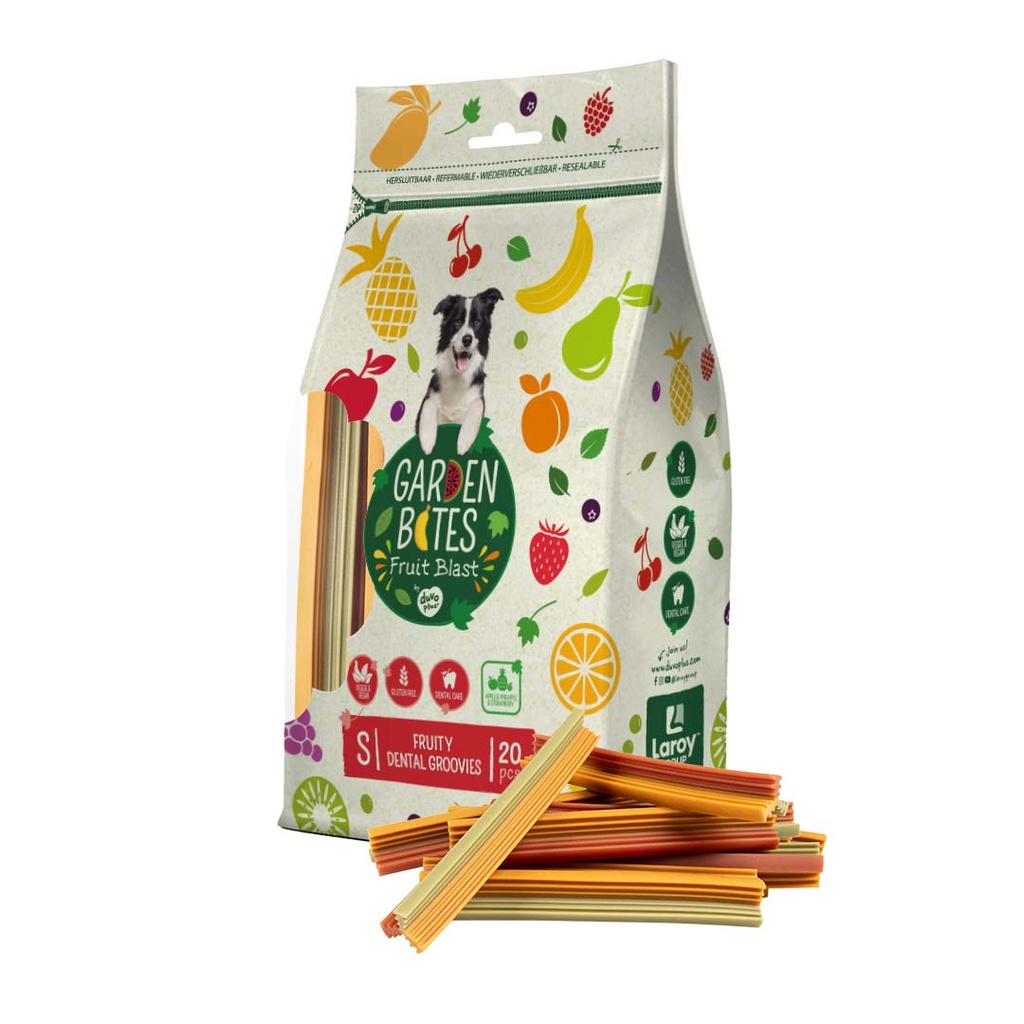 Garden Bites Fruity Snowflake Stick