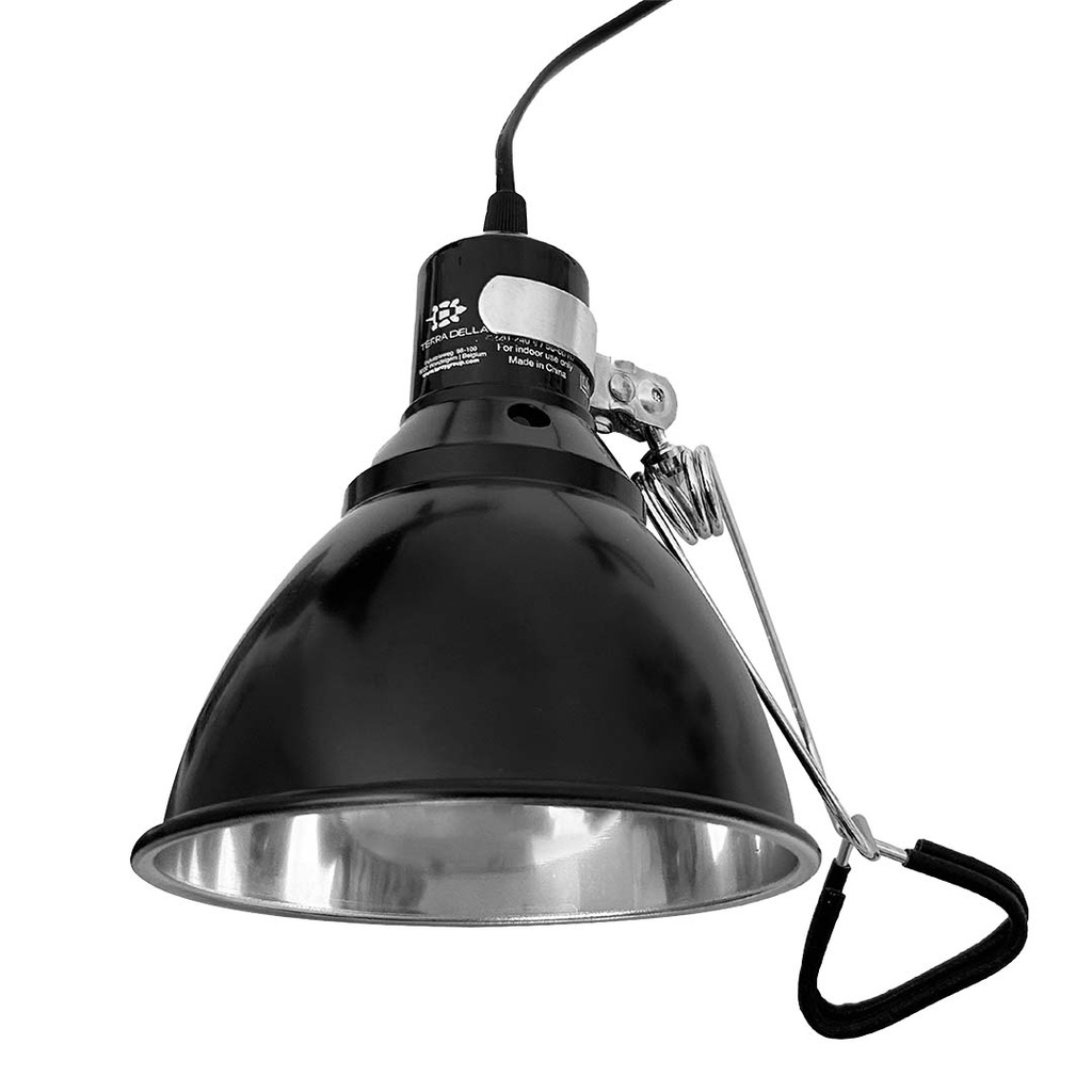 Dôme de lampe