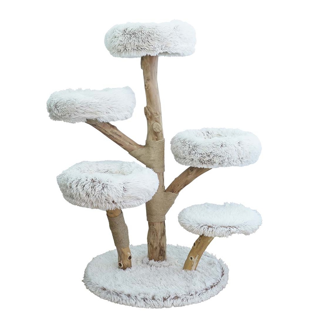 Kratzbaum Madrid