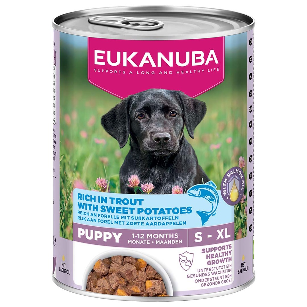 EUK dog wet puppy trout