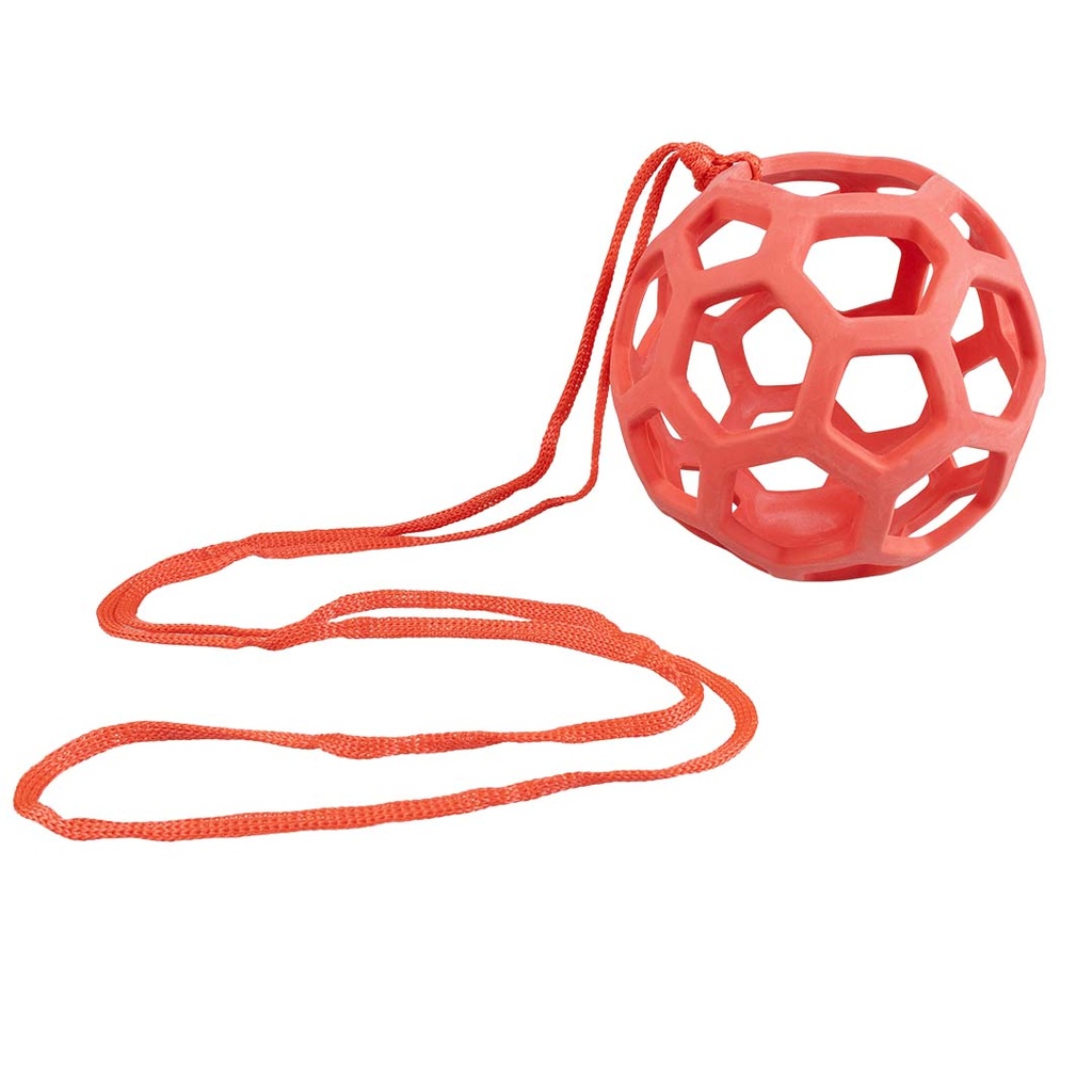 chicken feeder ball