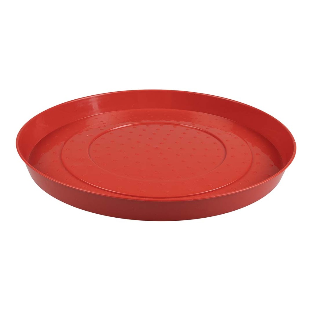 Chicken feeding plate