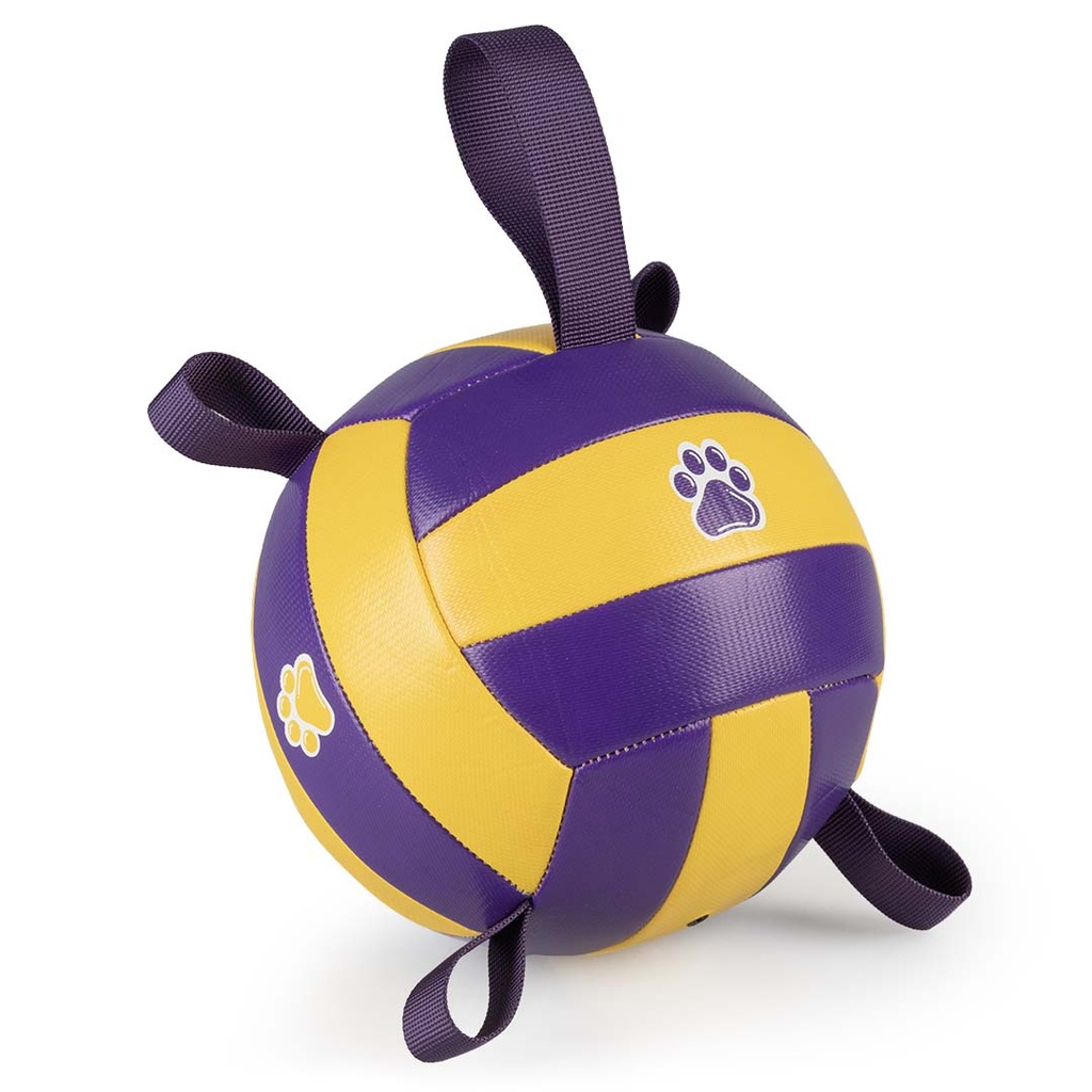 Volleybal met pomp