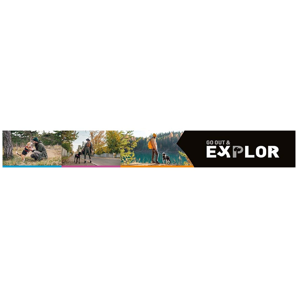 EXPLOR topcard small Forex