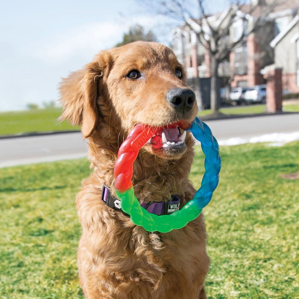 KONG Twistz Ball
