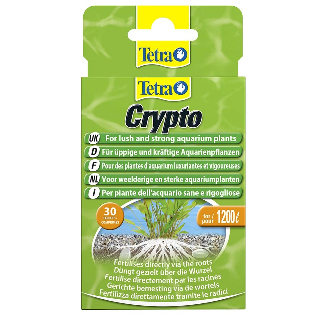 Crypto