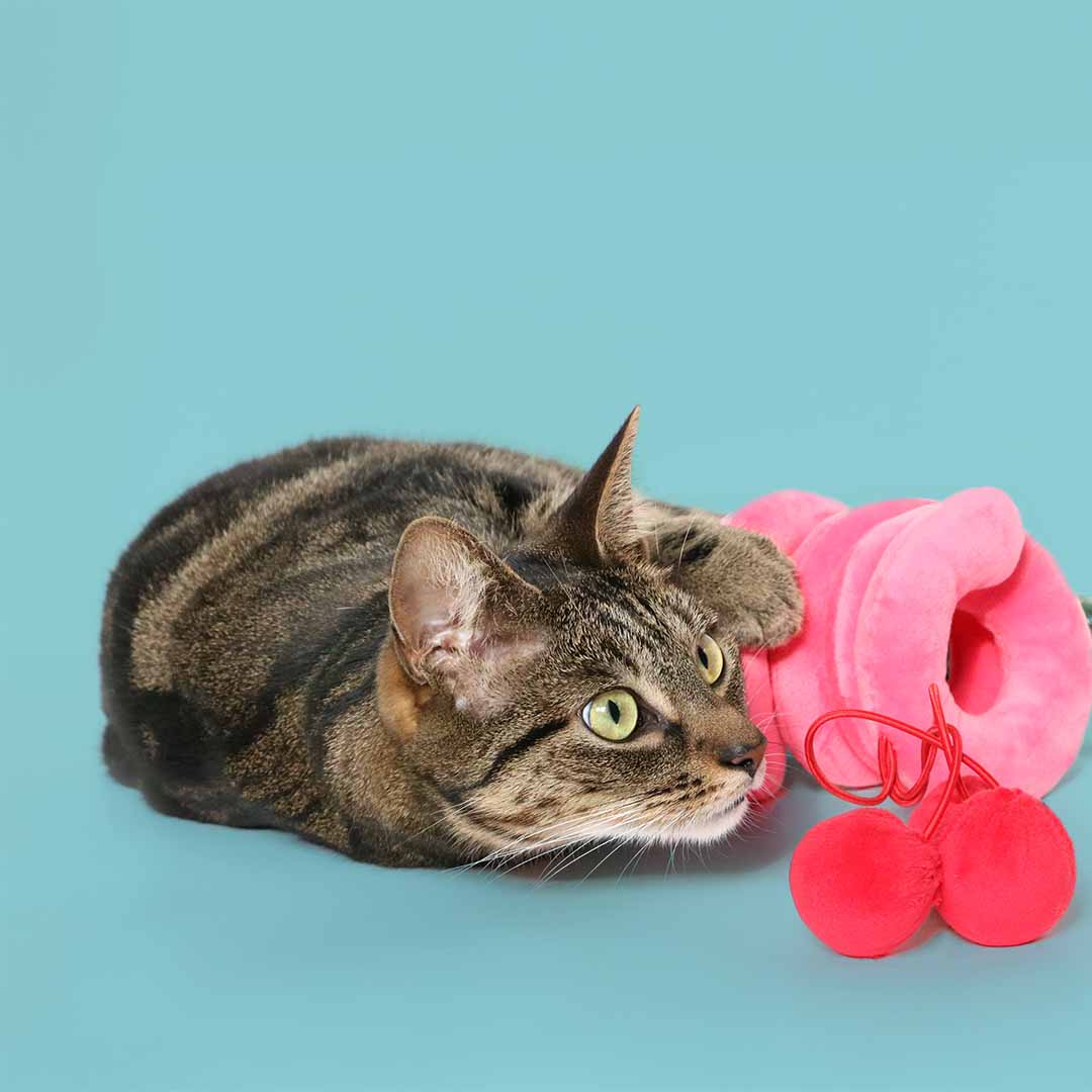 [408/485316] Kattenspeeltje TWISTER [roze (Roze)]