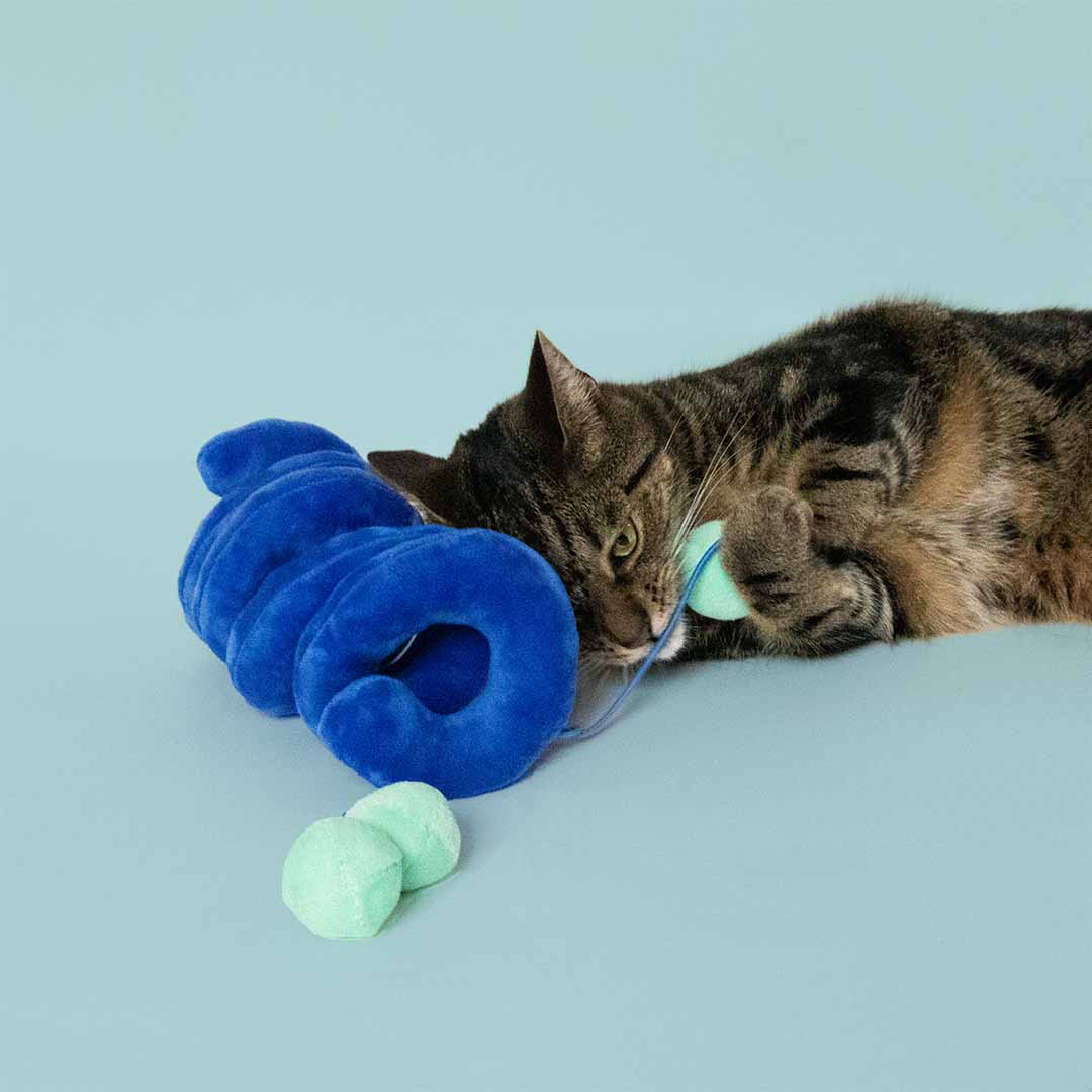 [408/485330] Kattenspeeltje TWISTER [blauw (Blauw)]