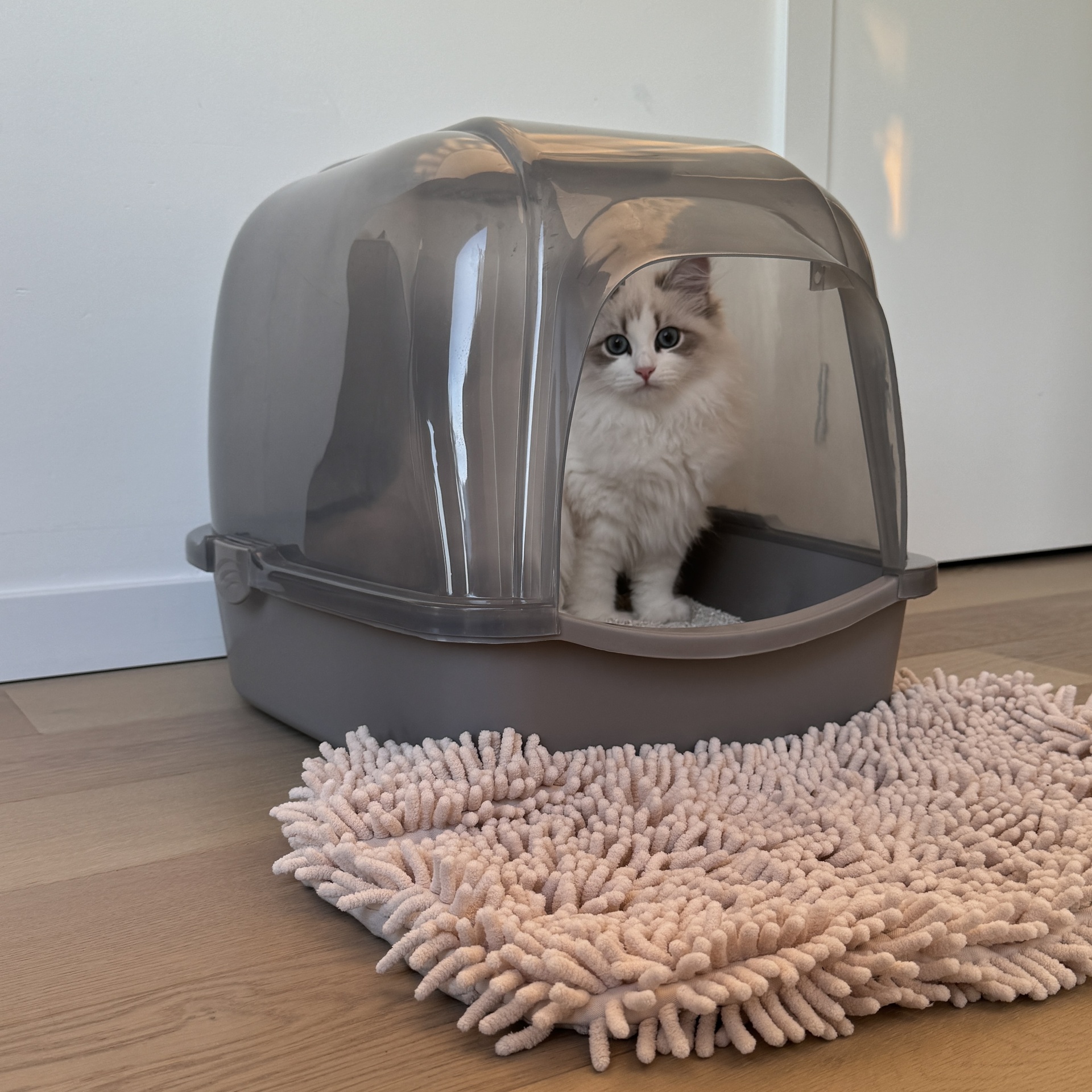 Kattentoilet Eclipse [transparant/grijs (Transparant)]