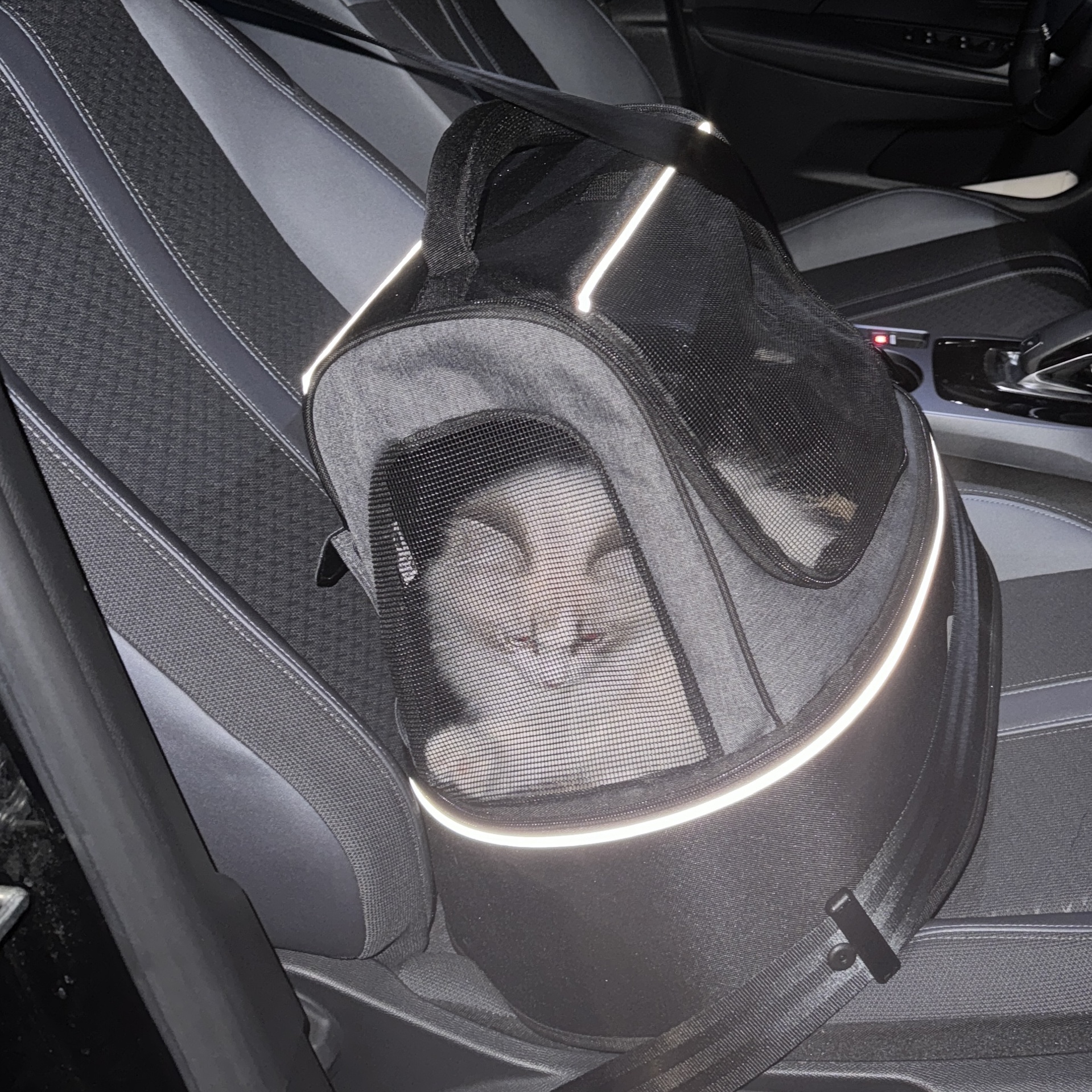 [664/482643] PHOEBE - Kattentransporttas [zwart (Zwart)]