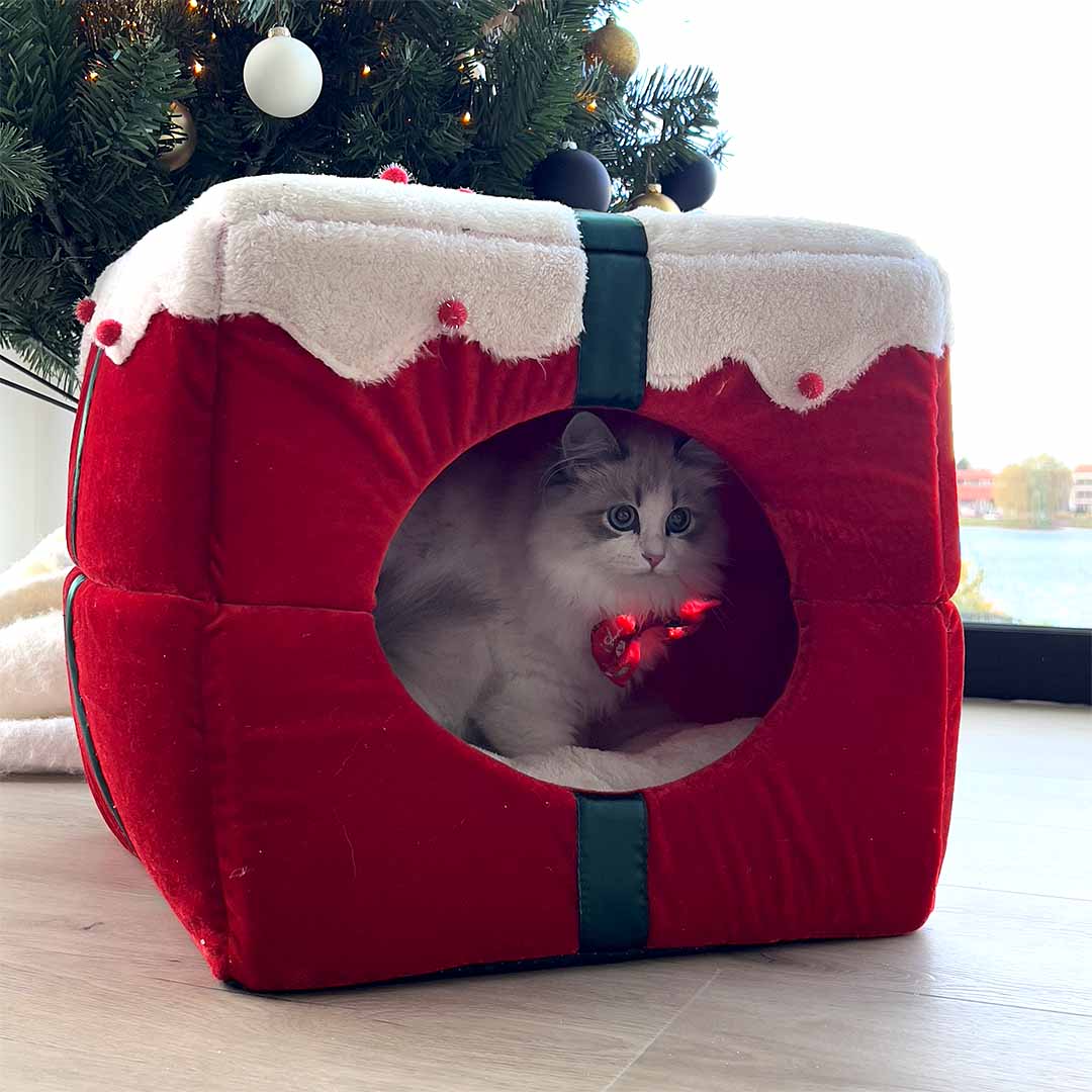 [15550] Xmas cosy huis [rood (Rood)]