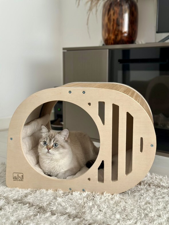 [431/474242] Tara kattenmand [bruin (Bruin)]