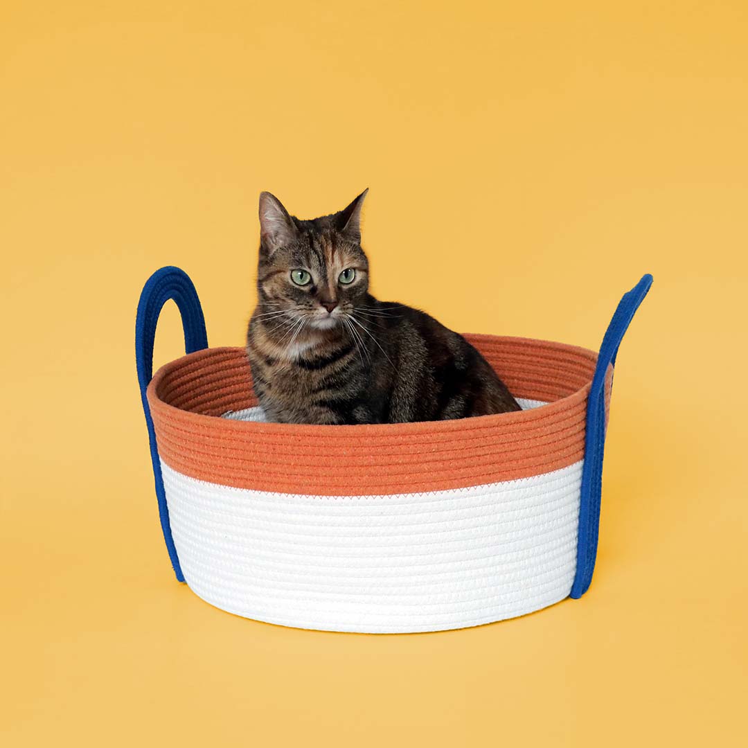 [673/485095] Kattenmand BINGE [oranje/blauw (Oranje)]