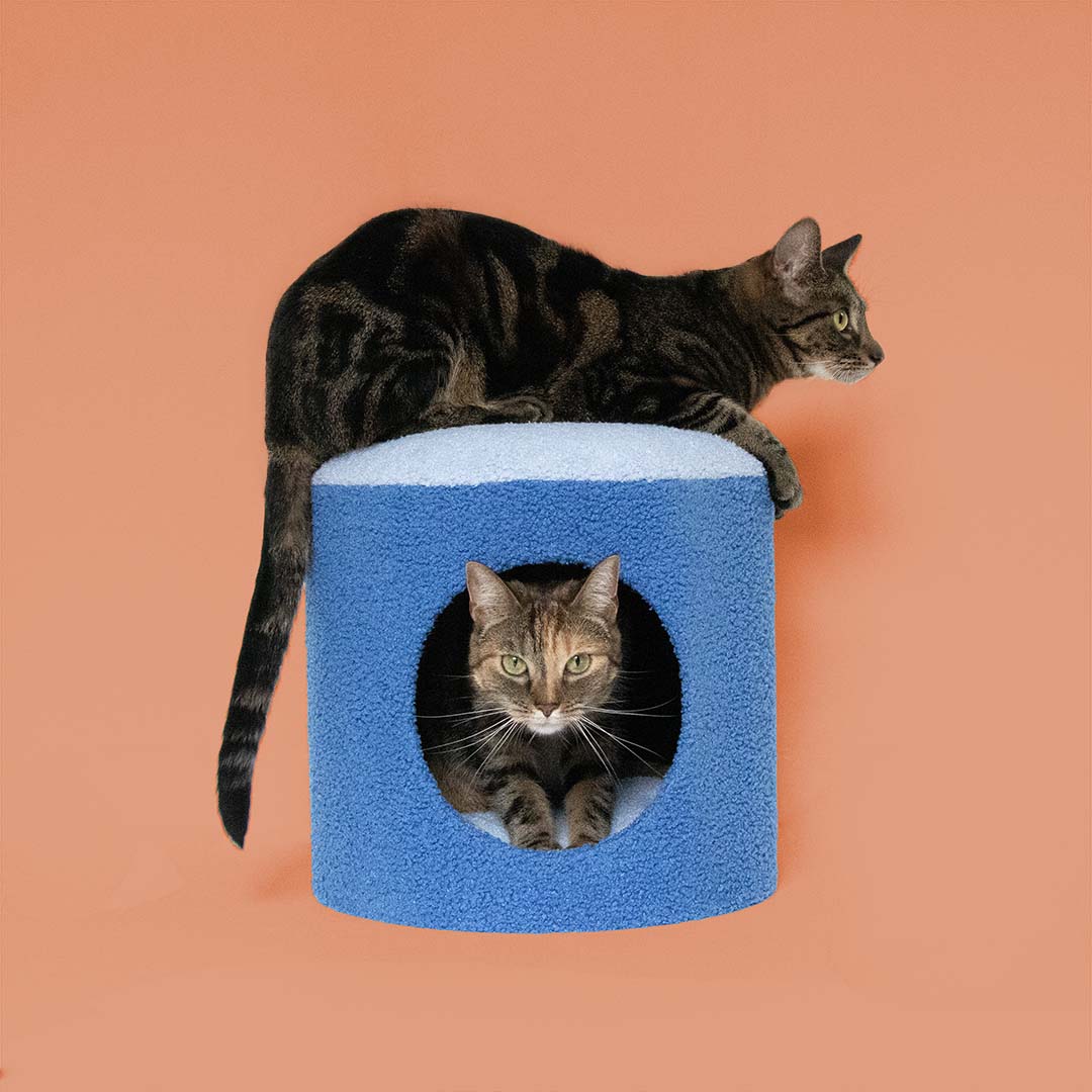 [675/487464] Kattenhuisje HAPPY HOUSE [blauw (Blauw)]