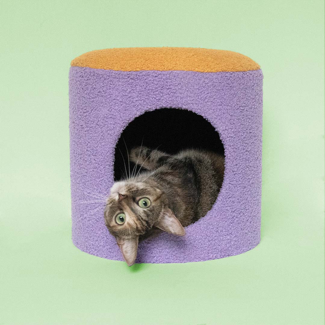[675/487471] Kattenhuisje HAPPY HOUSE [geel/paars (Geel)]
