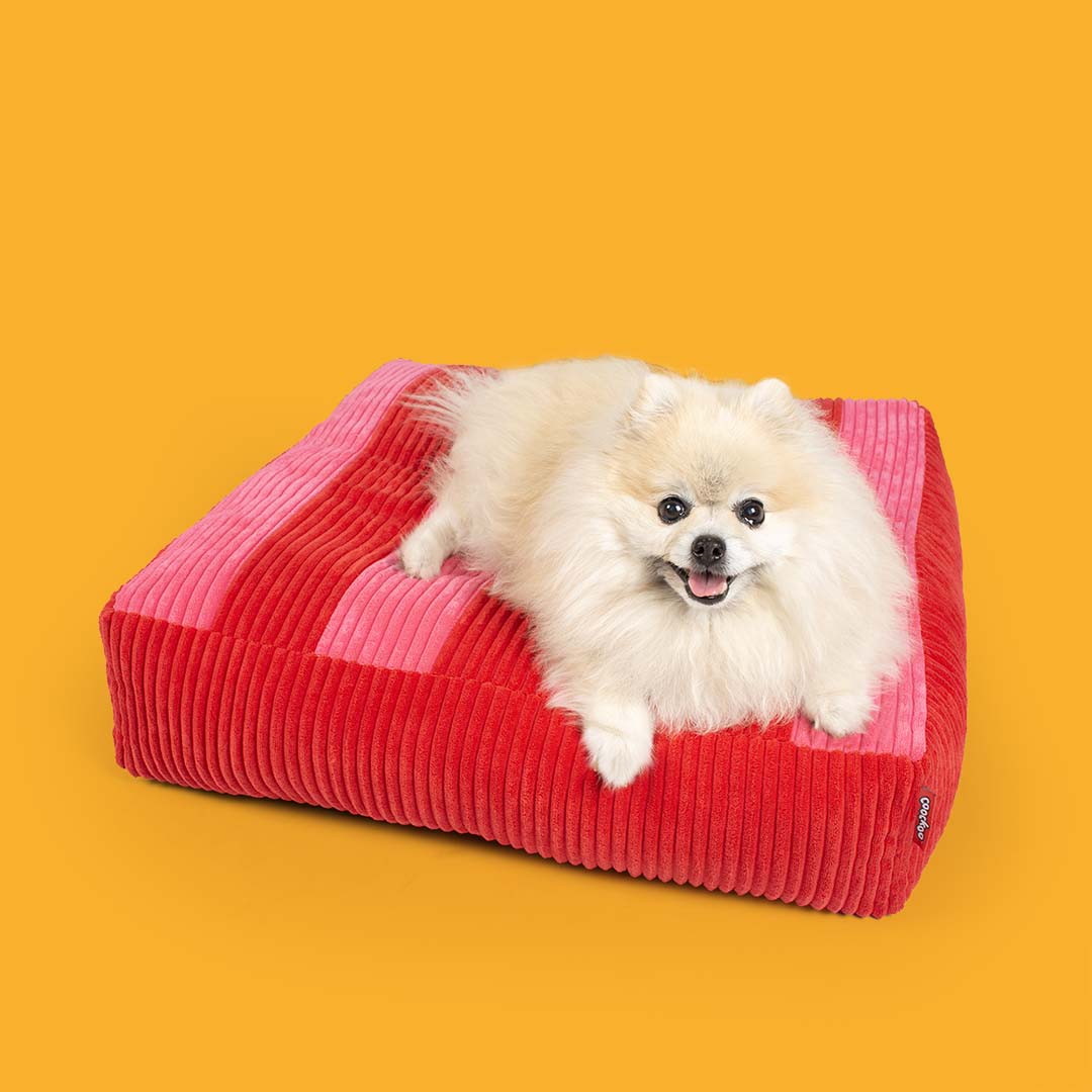 Hondenkussen COZY STRIPE [rood/roze (Rood)]