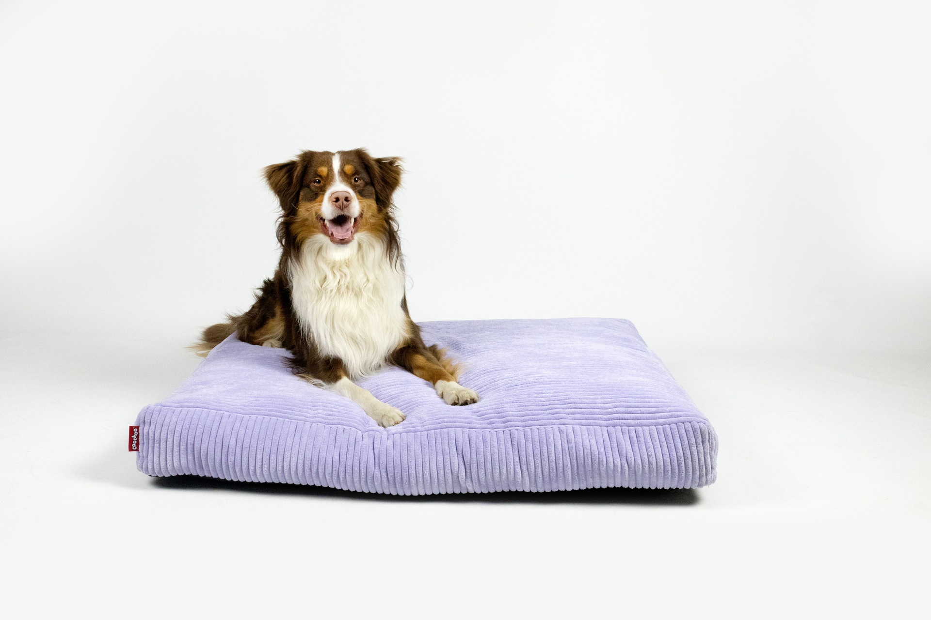 Hondenkussen COZY UNI [paars (Paars)]