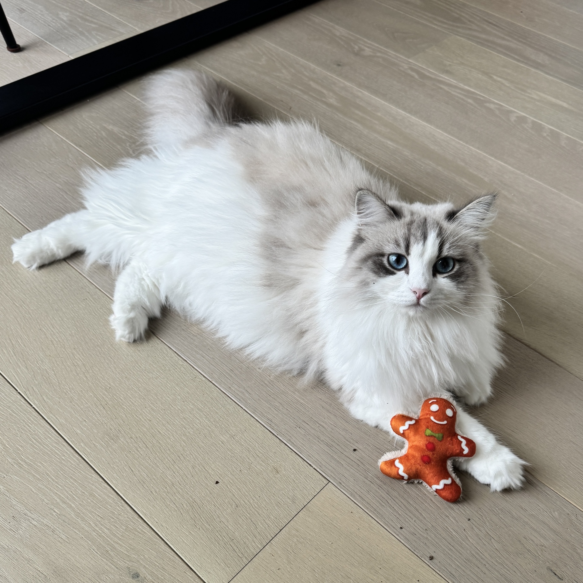 [14611] Xmas Fluffy peperkoekenman [meerkleurig (Multi)]