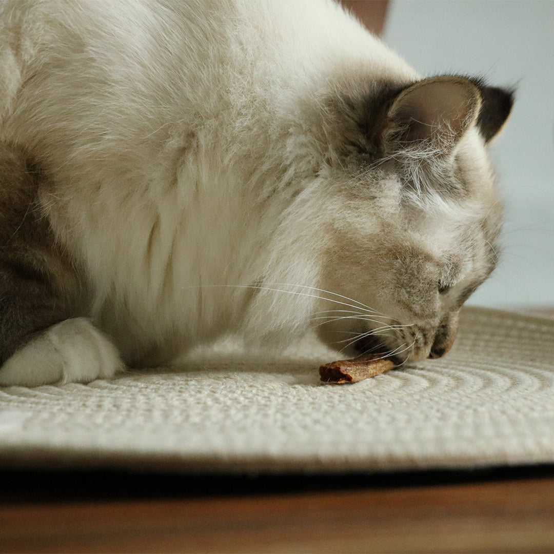 [473/481677] I Love Happy Cat Snack - Kip & konijnensticks