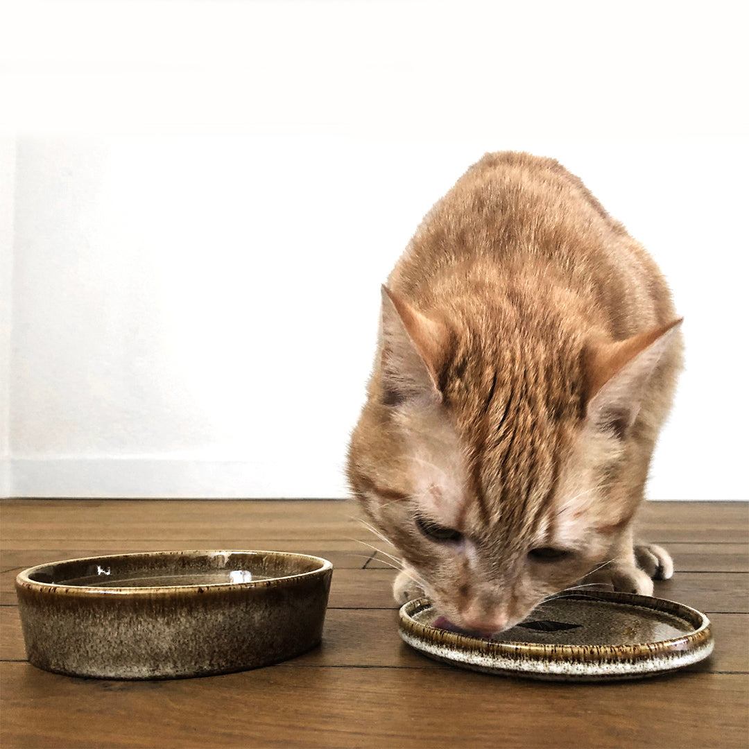 [621/462867] Jasper Kat eetschaal Sand