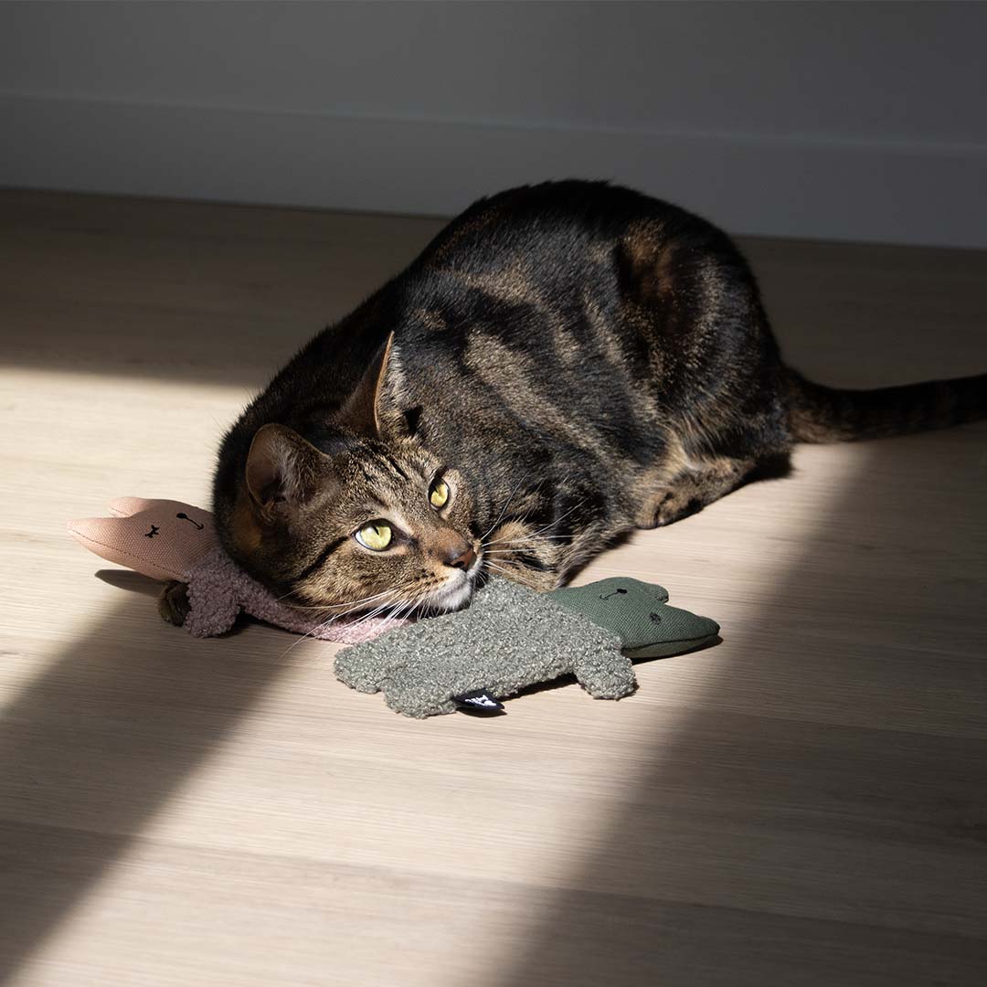 [402/488706] Kattenspeeltje ALFIE [groen (Groen)]