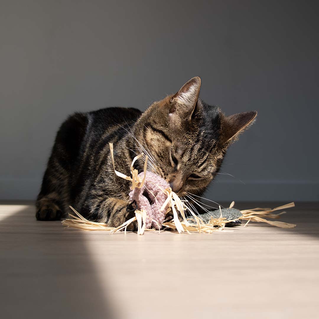 [402/488751] Kattenspeeltje MILLY [roze (Roze)]