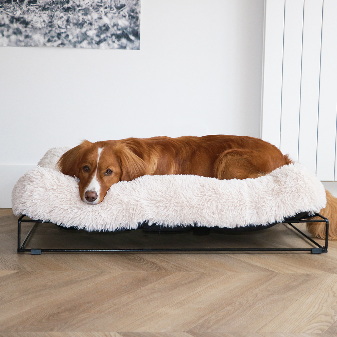 Amy kussen met frame [wit (Wit)]