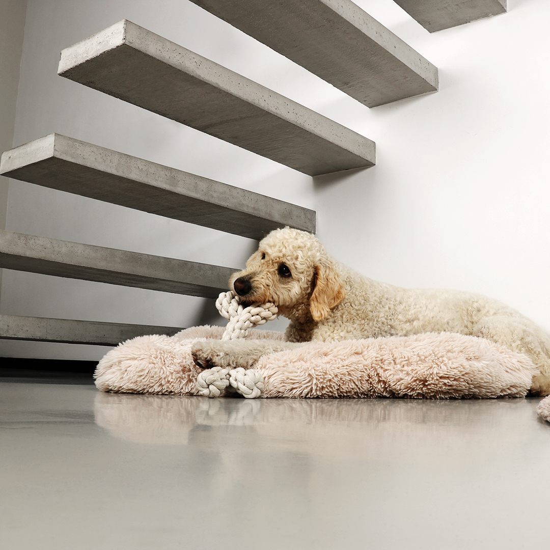 Dente rope toy [beige (Bruin)]