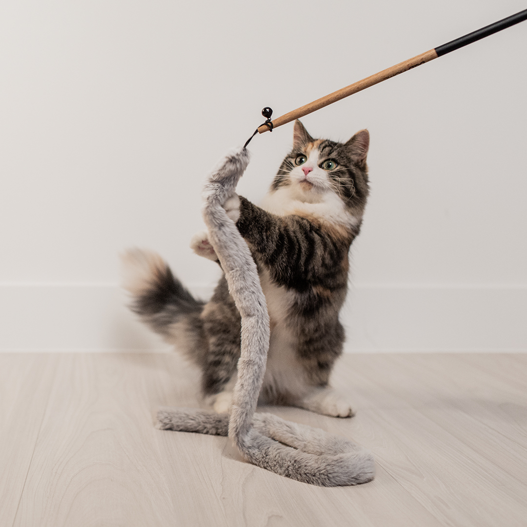 [408/469828] Lovi Kattenhengel [grijs (Grijs)]