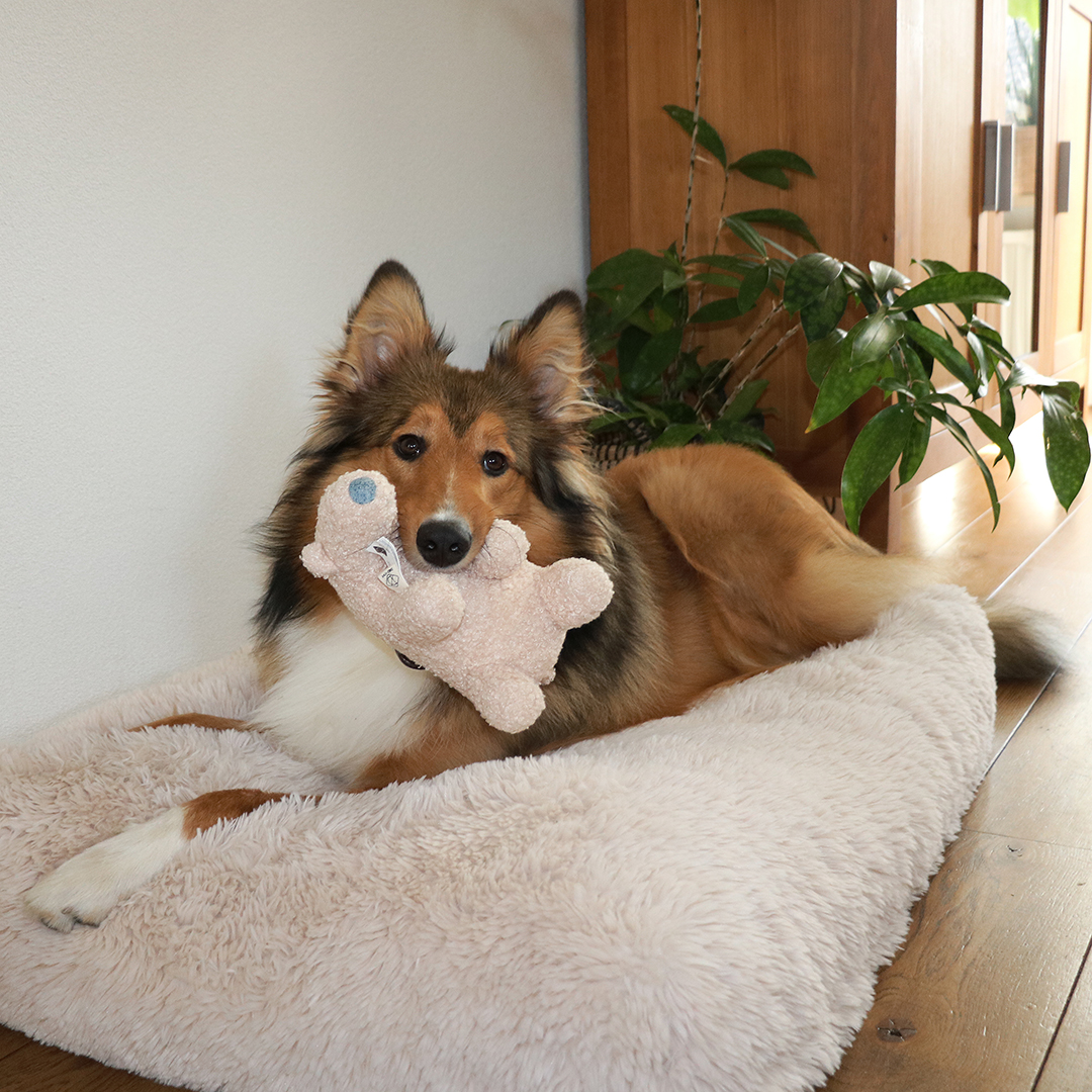 [304/479063] Banjo teddy stof hondenspeeltje [beige (Bruin)]