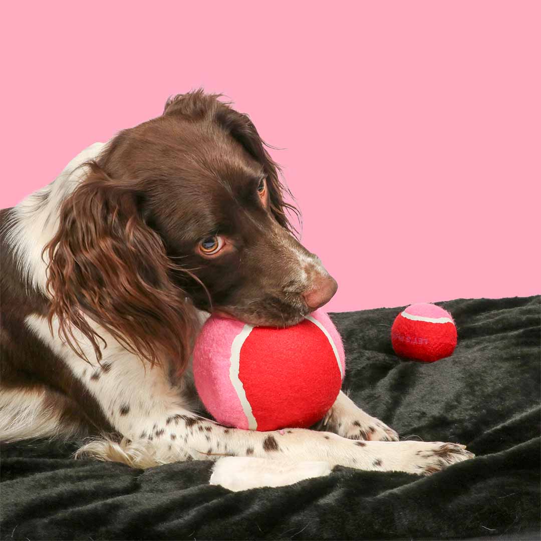 [303/485286] Tennisbal CHASE ME [rood/roze (Rood)]